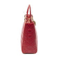Large Lady Dior