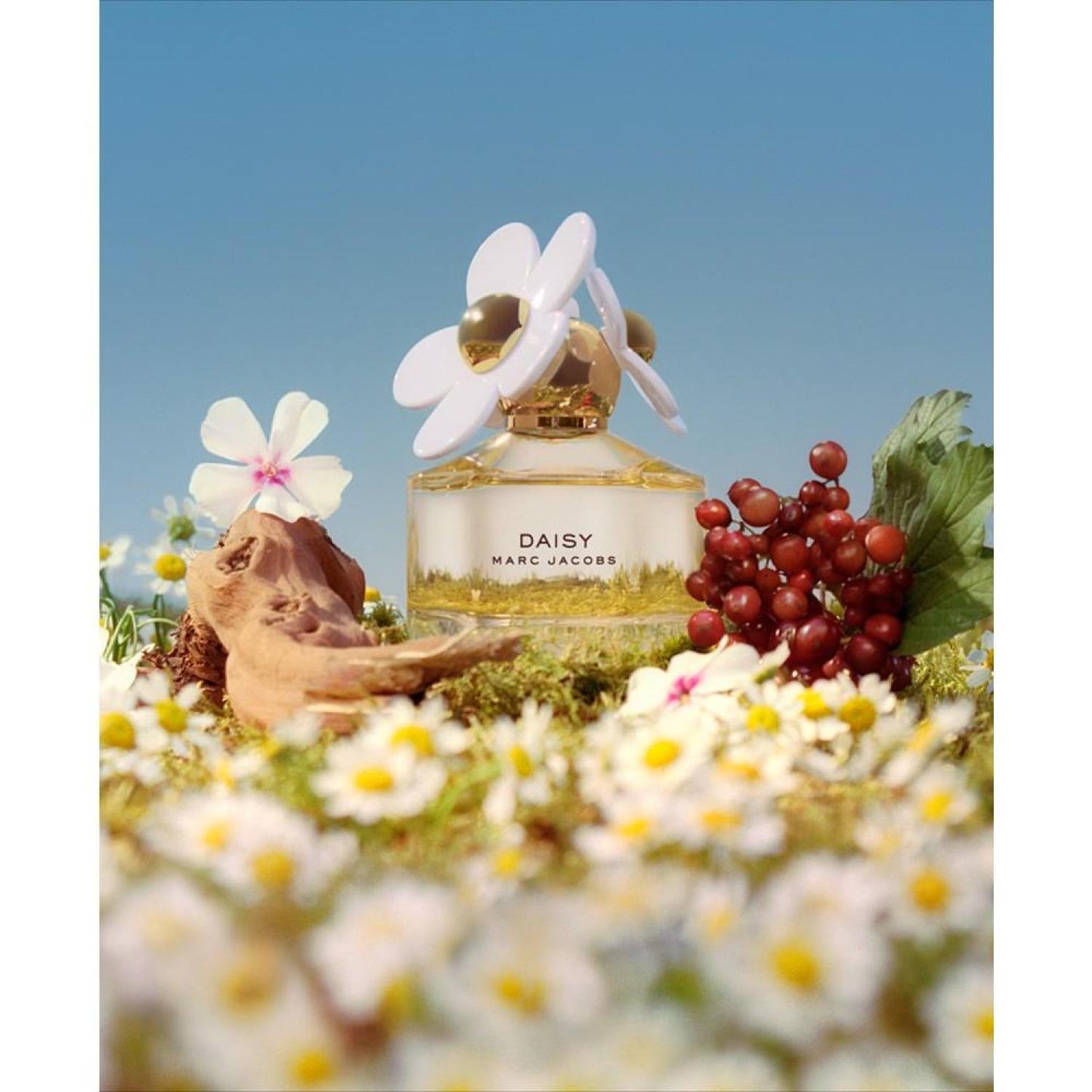 Daisy Eau de Toilette Spray, 3.4 oz.