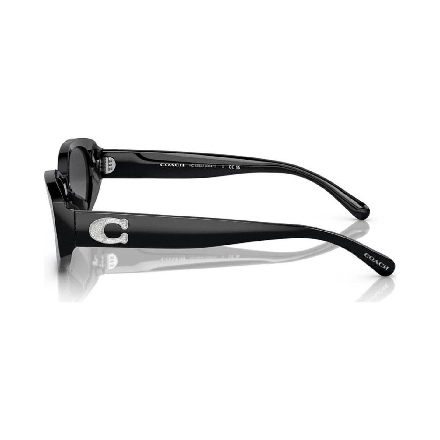 Women's Sunglasses, HC8353U54-Y