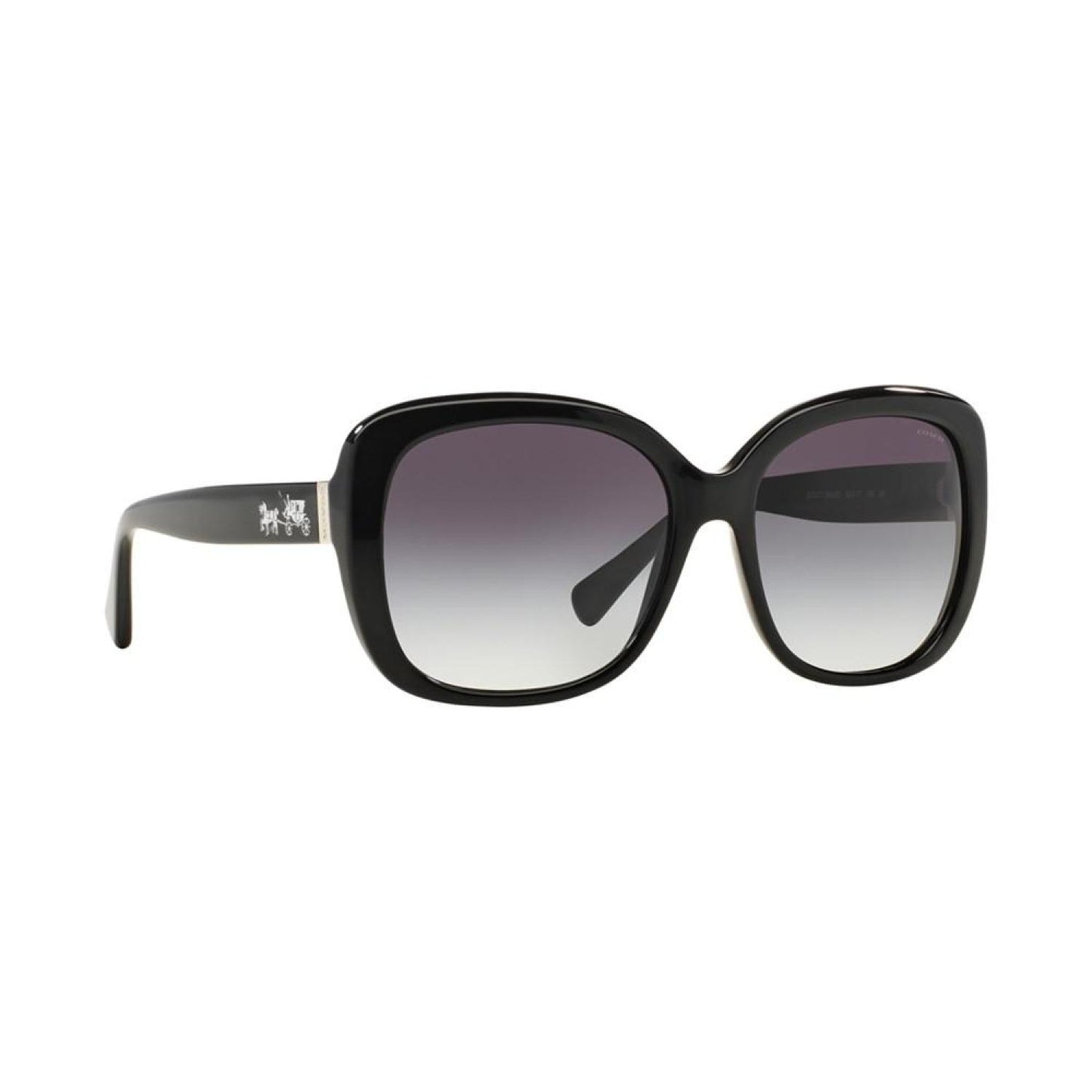 Sunglasses, HC8158
