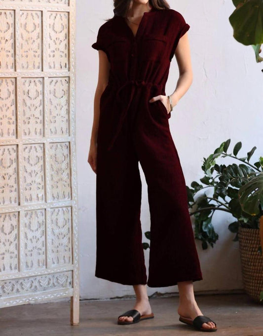 Noah Jumpsuit In Burgundy