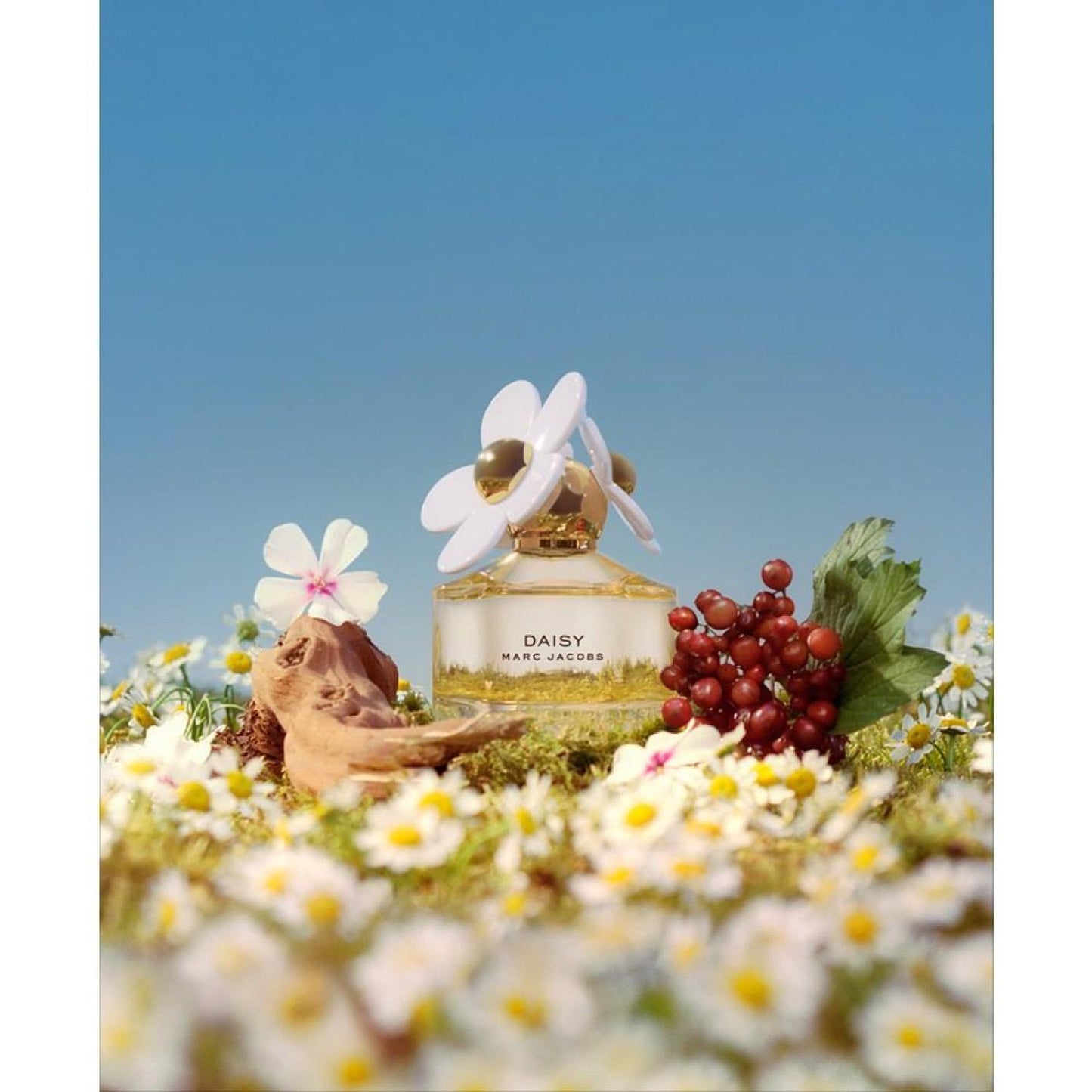 Daisy Eau de Toilette Spray, 6.7-oz.