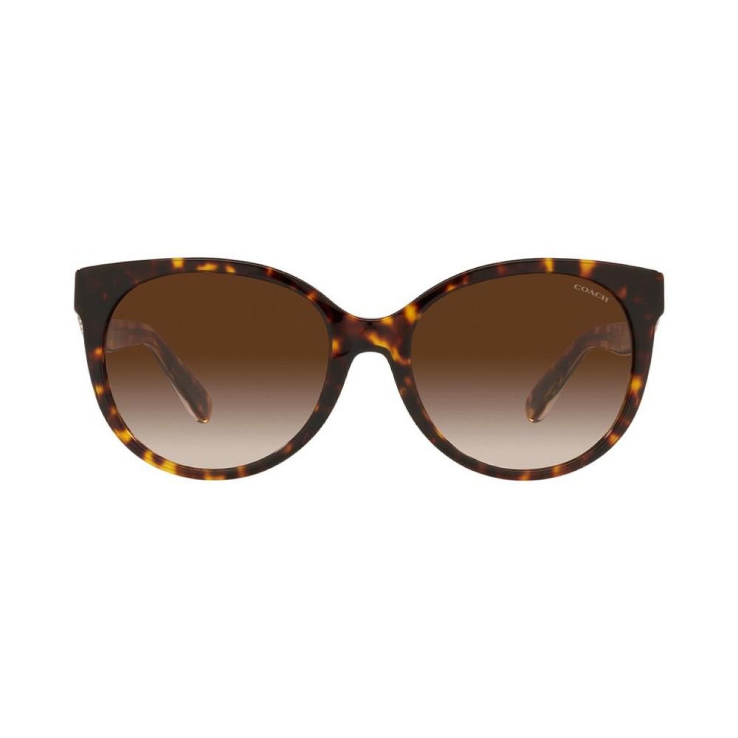 Women's Sunglasses, HC8321 55