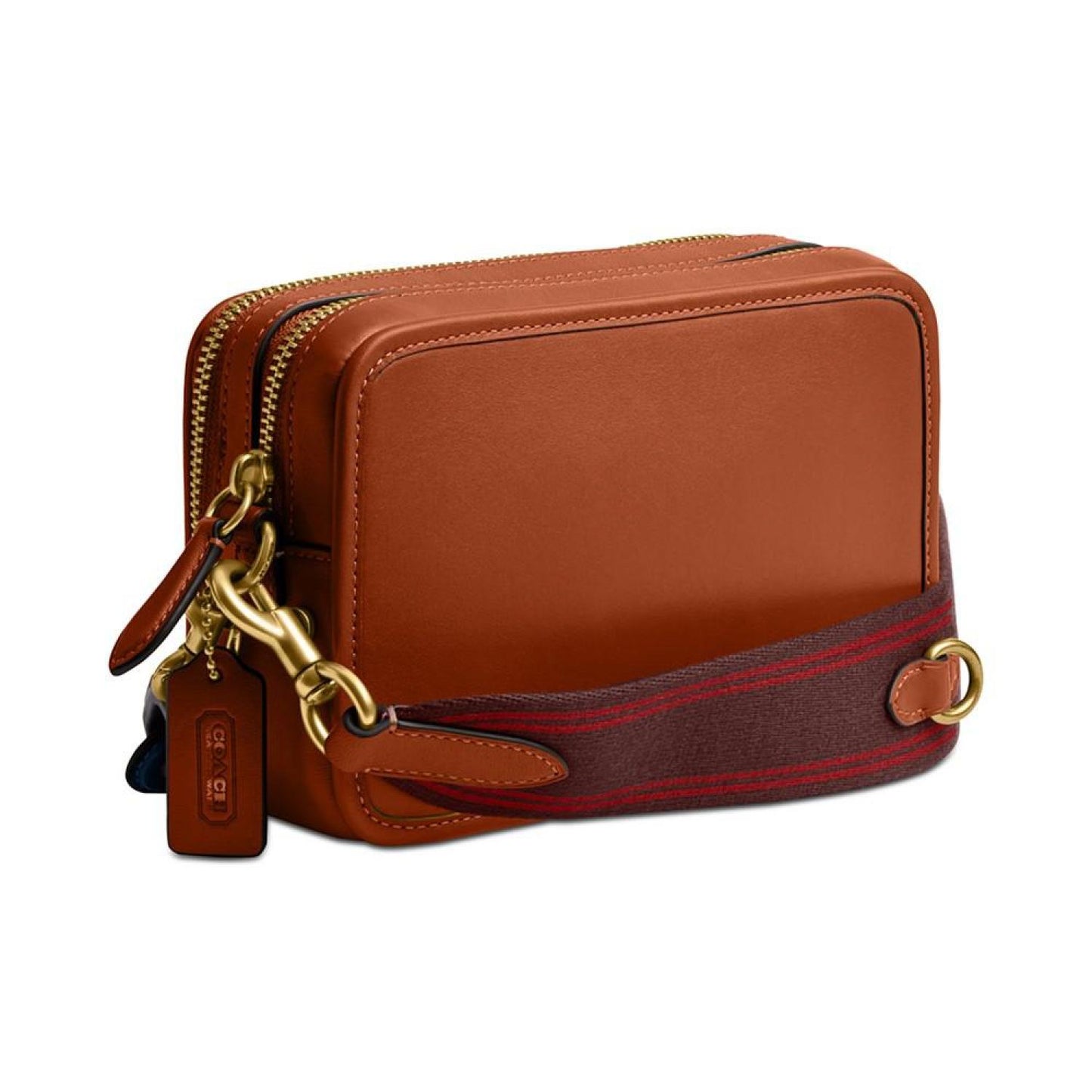 Charter Rainbow Chain Mini Leather Crossbody