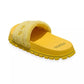 The Terry Logo Slides