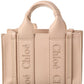 Chloé Woody Mini Leather Tote