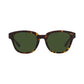 Men's Sunglasses, HC8340U C8003 53