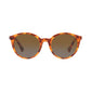 Ralph Women's Polarized Sunglasses, RA5273 53
