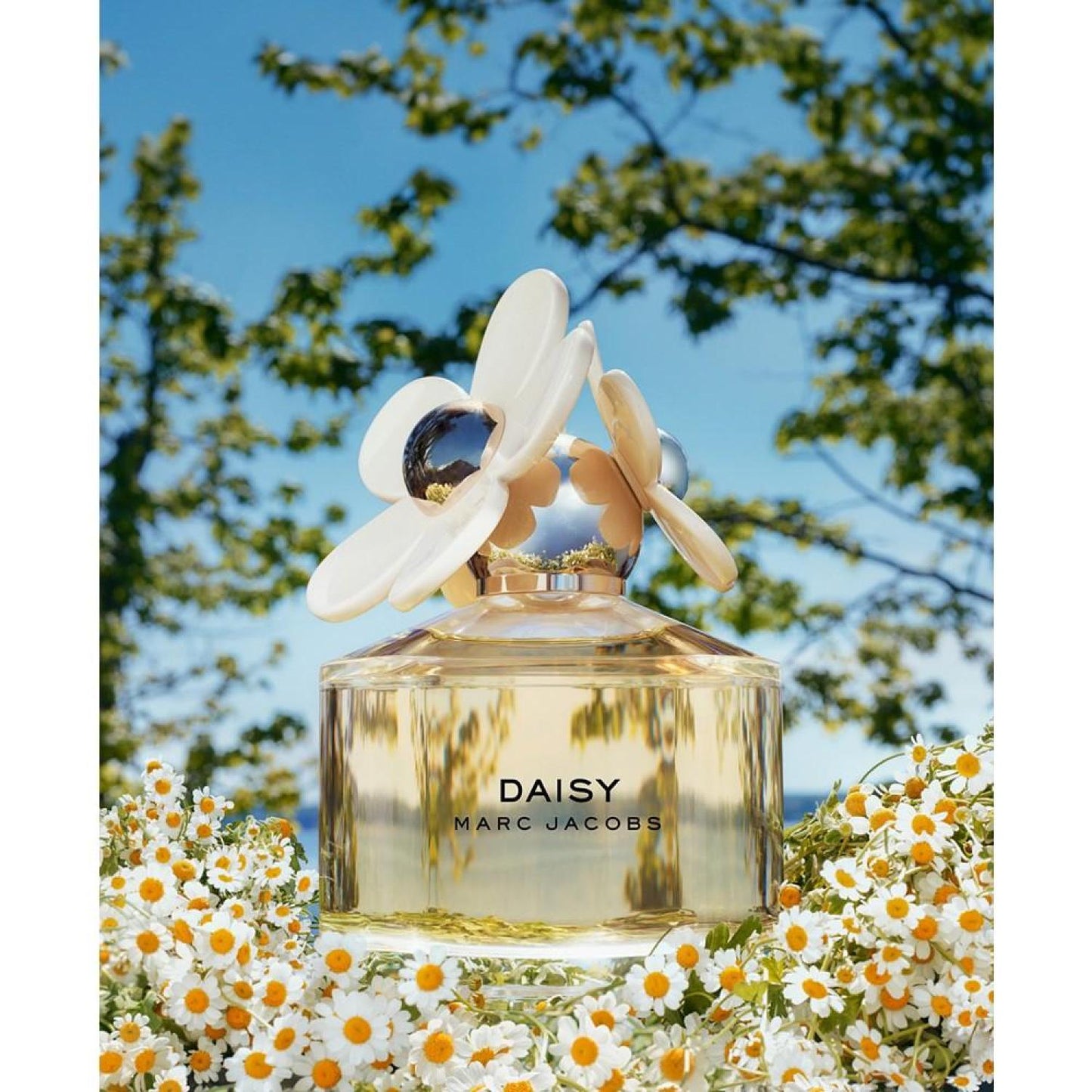 Daisy Eau de Toilette Spray, 1.7 oz.
