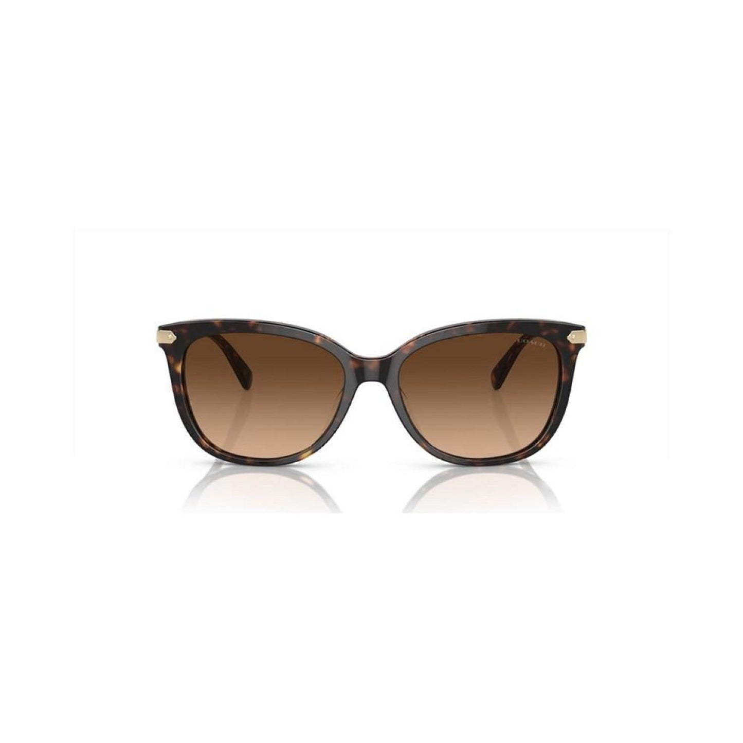 Women's CL926 Sunglasses, Gradient HC8378U