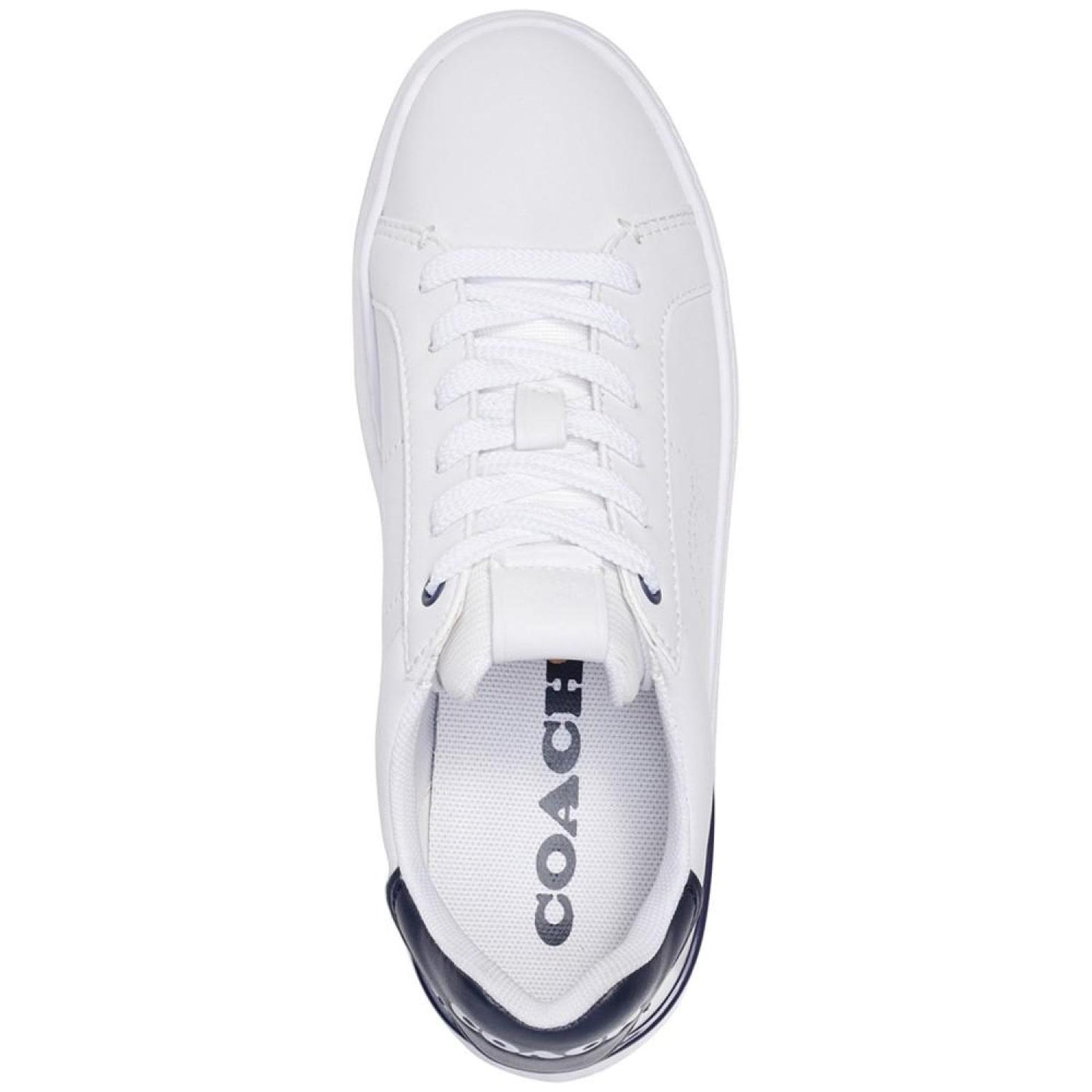 Women's Lowline Sneakers