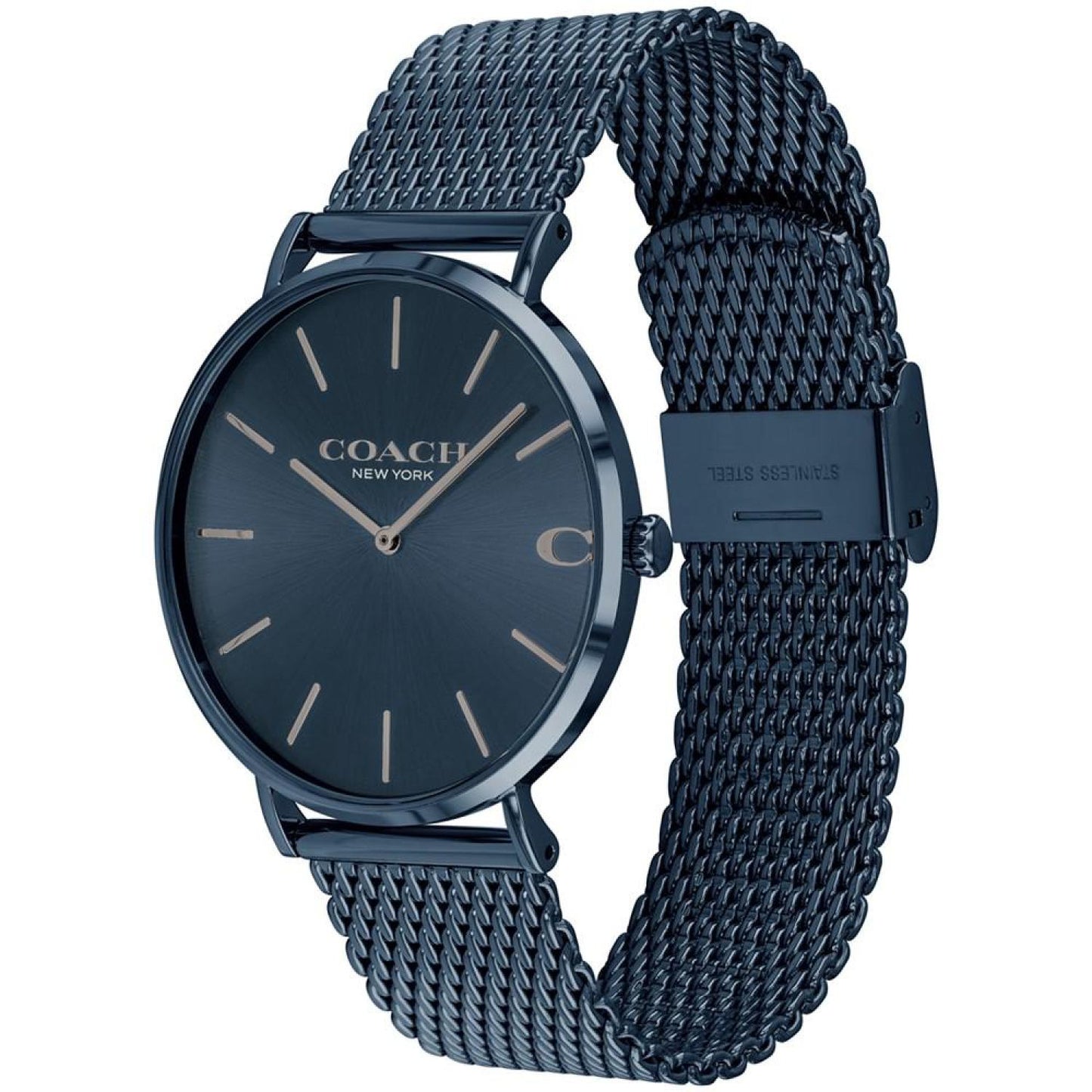 Men's Charles Stainless Steel Mesh Bracelet Watch