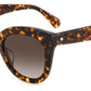 Kate Spade BELAH/S HA 086 Cat Eye Sunglasses