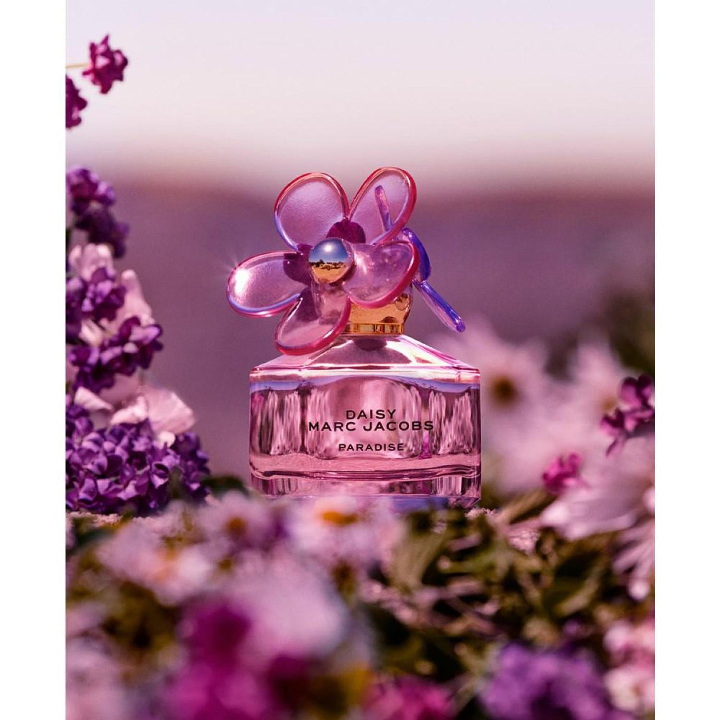 Daisy Paradise Limited-Edition Eau de Toilette, 1.6 oz.